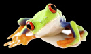 www.idesignteam.com